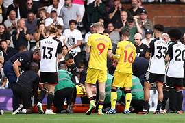 ag尊龙战术解析：谢菲联体系中的多面手价值-ag尊龙